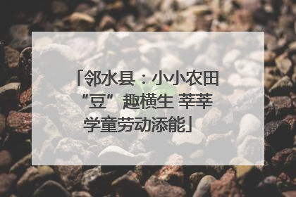 邻水县：小小农田“豆”趣横生 莘莘学童劳动添能