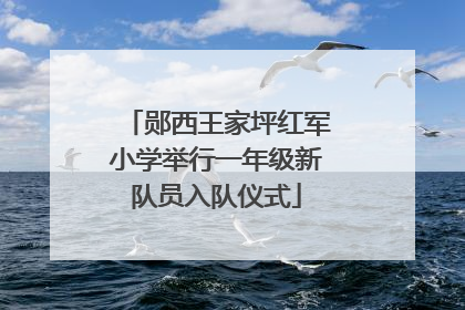 郧西王家坪红军小学举行一年级新队员入队仪式