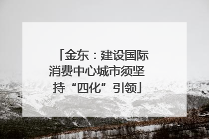 金东：建设国际消费中心城市须坚持“四化”引领