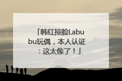 韩红撞脸Labubu玩偶，本人认证：这太像了！