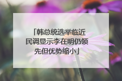 韩总统选举临近 民调显示李在明仍领先但优势缩小