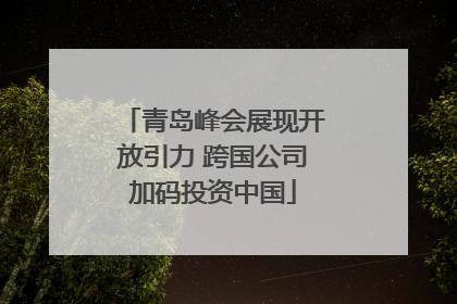 青岛峰会展现开放引力 跨国公司加码投资中国