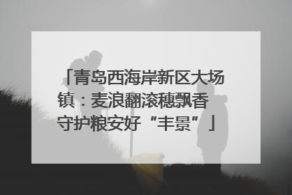 青岛西海岸新区大场镇：麦浪翻滚穗飘香 守护粮安好“丰景”