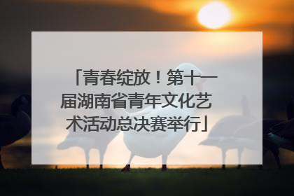 青春绽放！第十一届湖南省青年文化艺术活动总决赛举行