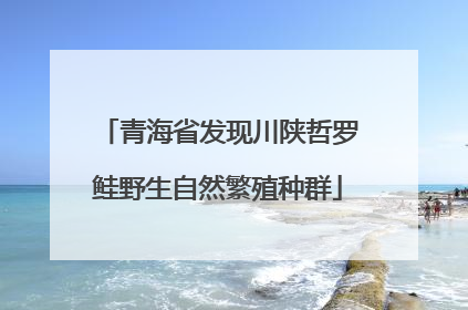青海省发现川陕哲罗鲑野生自然繁殖种群