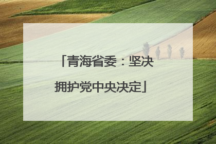 青海省委：坚决拥护党中央决定