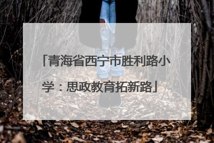 青海省西宁市胜利路小学：思政教育拓新路