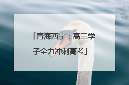 青海西宁：高三学子全力冲刺高考