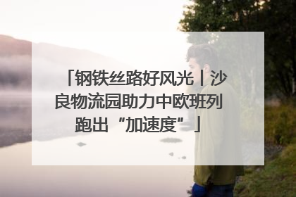 钢铁丝路好风光丨沙良物流园助力中欧班列跑出“加速度”