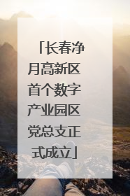 长春净月高新区首个数字产业园区党总支正式成立