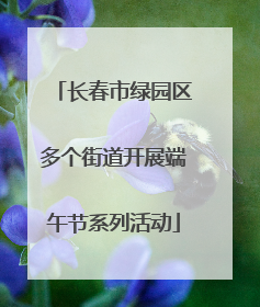 长春市绿园区多个街道开展端午节系列活动