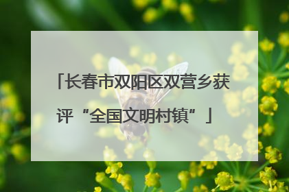长春市双阳区双营乡获评“全国文明村镇”