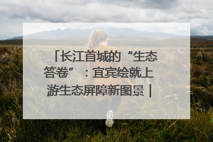 长江首城的“生态答卷”：宜宾绘就上游生态屏障新图景｜中华环保世纪行