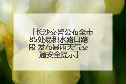 长沙交警公布全市85处易积水路口路段 发布暴雨天气交通安全提示