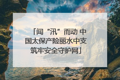 闻“汛”而动 中国太保产险丽水中支筑牢安全守护网