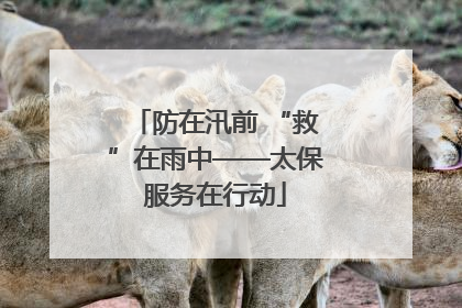 防在汛前 “救”在雨中——太保服务在行动