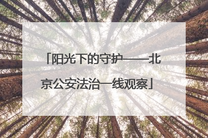 阳光下的守护——北京公安法治一线观察