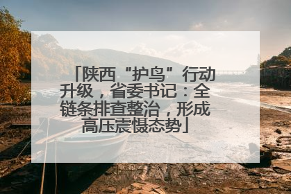 陕西“护鸟”行动升级，省委书记：全链条排查整治，形成高压震慑态势