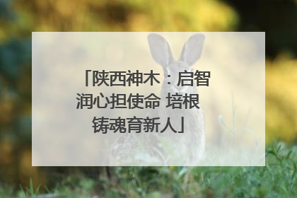 陕西神木：启智润心担使命 培根铸魂育新人