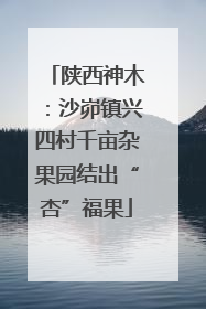 陕西神木：沙峁镇兴四村千亩杂果园结出“杏”福果