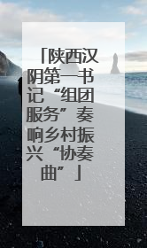 陕西汉阴第一书记“组团服务”奏响乡村振兴“协奏曲”