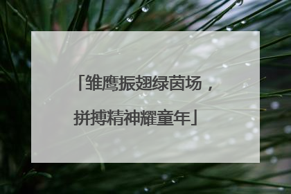 雏鹰振翅绿茵场，拼搏精神耀童年