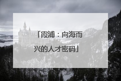 霞浦：向海而兴的人才密码
