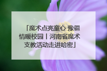 魔术点亮童心 豫疆情暖校园丨河南省魔术支教活动走进哈密