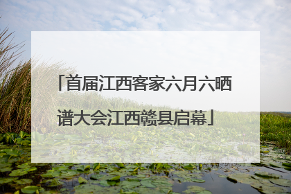 首届江西客家六月六晒谱大会江西赣县启幕