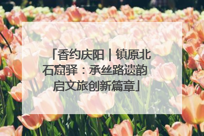 香约庆阳｜镇原北石窟驿：承丝路遗韵 启文旅创新篇章