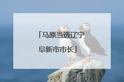 马原当选辽宁阜新市市长