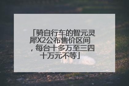 骑自行车的智元灵犀X2公布售价区间，每台十多万至三四十万元不等