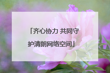 齐心协力 共同守护清朗网络空间