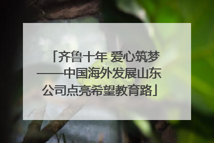 齐鲁十年 爱心筑梦——中国海外发展山东公司点亮希望教育路