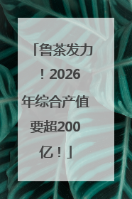 鲁茶发力！2026年综合产值要超200亿！