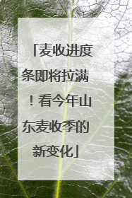 麦收进度条即将拉满！看今年山东麦收季的新变化