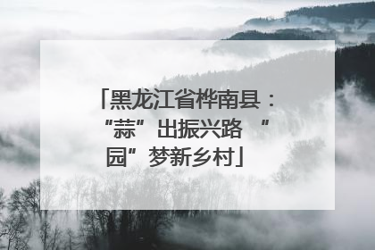 黑龙江省桦南县：“蒜”出振兴路 “园”梦新乡村