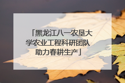 黑龙江八一农垦大学农业工程科研团队助力春耕生产