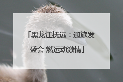 黑龙江抚远：迎旅发盛会 燃运动激情