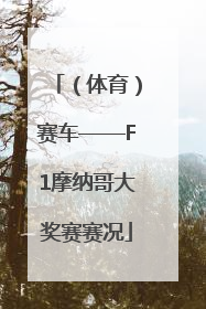（体育）赛车——F1摩纳哥大奖赛赛况