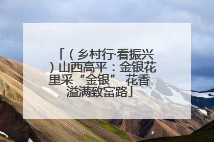 （乡村行·看振兴）山西高平：金银花里采“金银” 花香溢满致富路