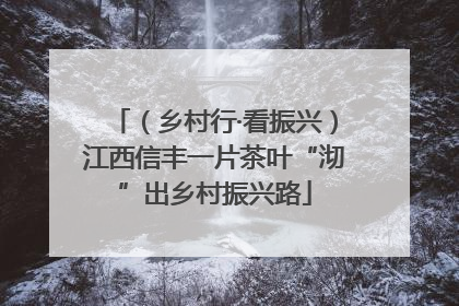 （乡村行·看振兴）江西信丰一片茶叶“沏”出乡村振兴路