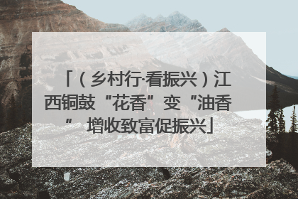 （乡村行·看振兴）江西铜鼓“花香”变“油香” 增收致富促振兴