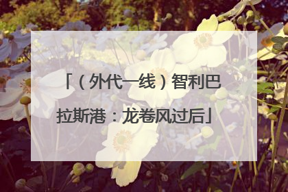 （外代一线）智利巴拉斯港：龙卷风过后