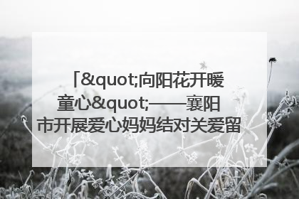 "向阳花开暖童心"——襄阳市开展爱心妈妈结对关爱留守困境儿童庆"六一"活动
