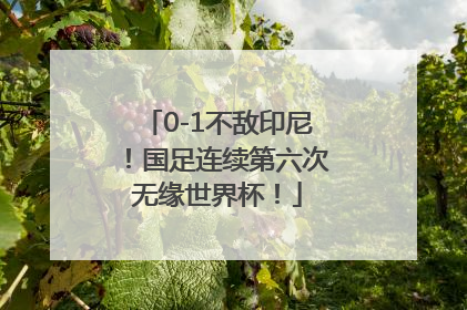 0-1不敌印尼！国足连续第六次无缘世界杯！