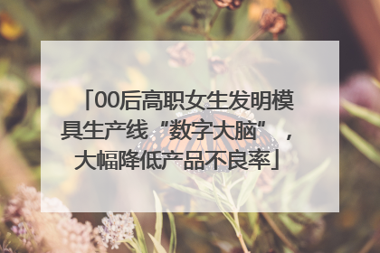 00后高职女生发明模具生产线“数字大脑”，大幅降低产品不良率