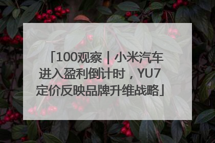 100观察｜小米汽车进入盈利倒计时，YU7定价反映品牌升维战略