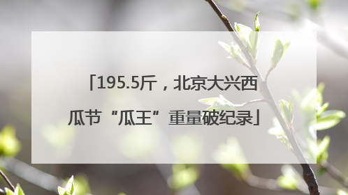 195.5斤，北京大兴西瓜节“瓜王”重量破纪录