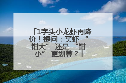 1字头小龙虾再降价！提问：买虾 “钳大” 还是 “钳小” 更划算？